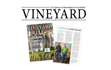 Vineyard